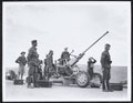 Greek and British soldiers man an anti-aircraft gun, 1941