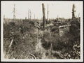'Scene in Trones Wood as it appears today', 2 September 1917