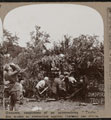 'Gunners, suspicious of an approaching Taube, don masks as protection against German gas shells', 1915 (c)