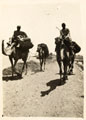 Egyptians riding camels along the banks of the River Nile, near Minia, Egypt, 24 August 1916