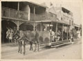 A tram pulled by mules, Port Said, 1916