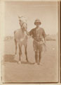 Corporal Joseph Egerton with a horse, Palestine, 1917