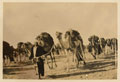 An Egyptian Camel Transport Corps convoy heading to Bahariya Oasis, Libyan Desert, 1916