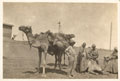 British soldiers with the Egyptian Camel Transport Corps in Minia, Egypt, 1916