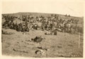 British troops resting after first two days of the Third Battle of Gaza, near Tira, Palestine, 2 November 1917