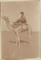 A British soldier riding a camel, 1916 (c)