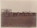 Horse-drawn ambulance, 1900 (c)