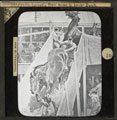 'Shipping horses. From Upper to Lower Deck', lantern slide, 1899 (c)