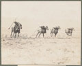 Section tent pegging team, 1909