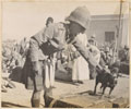 'Wassa', battalion dog, Queen's Own Cameron Highlanders, Luxor, Egypt, 1898