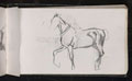 Study of a horse, 1873