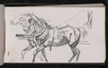 Two horses in a driving harness, 1873
