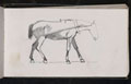 Study of a horse in harness, 1873