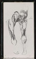 Forelegs of a horse, 1873 (c)