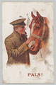 'Pals!', 1914-1918