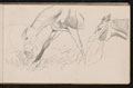 Studies of horses eating, 1893