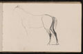 Study of horse, 1893