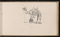 Study of a camel, 1893