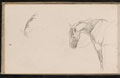 Studies of horses, 1893 (c)