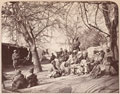 A street scene in Jellalabad city, 1878