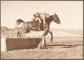 Dummy sword thrust practice, 9th Hodson's Horse, 1920s