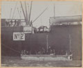 Horses being transferred onto a transport ship, 1904