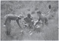 4th (Uganda) Battalion, King's African Rifles, 'brewing up' on Mount Longenot, Rift Valley, 1956 (c)