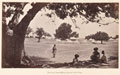 The Amir Yakub Khan's Camp Safed Sang, 1879