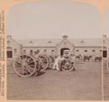 Guns of the 75th Royal Field Artillery, Pretoria, South Africa, 1899