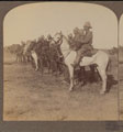 Australian Mounted Rifles, South Africa, 1899
