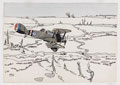 'Bristol Fighter "ground strafing", Arras Front 1918'