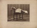 'Litter Mark II', 1873
