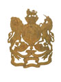 Helmet plate, officer, Corps of Royal Engineers, 1878-1902