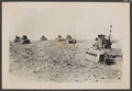 Matilda II tanks advance in the Western Desert, 1941 (c)