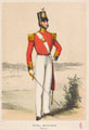 An officer of the Royal Marines