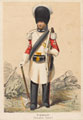 Pioneer of the Grenadier Guards, 1854