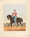 'Right Hon The Governor's Bodyguard, Jemidar'