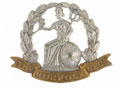 Cap badge, other ranks, Corporal H F Wood, The Norfolk Regiment, 1919 (c)