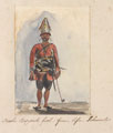 'Bashi Bazouk fool - from life - Schumla', Turkey, 1854 (c)
