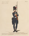 'Hans Town Association', 'Stand at Ease Supporting Arms', 1798