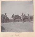 'On treck', Indian Mountain Artillery, 1911 (c)