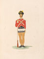 'Handling Arms', infantry drill, India, 1814
