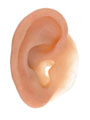 Prosthetic ear, 2013