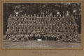 Group portrait, 'A' Squadron, 2/1 Suffolk Yeomanry, 1916