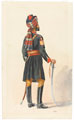 Daffadar, 3rd (Queen's Own) Bombay Light Cavalry, 1902 (c)
