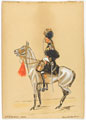 '3rd Cavalry Skinners Horse', 1909