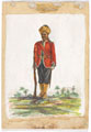 Havildar, 9th Regiment of Madras Infantry, 1890 (c).