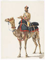 Camel sowar, 5th Punjab Cavalry, 1895 (c)