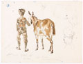 'Naick Fuckeeva IV Gun Mule. No 12D, No 6 subdivision', Indian Army mountain artillery, 1895 (c)