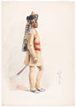 '1st Central India Horse', 1895 (c)